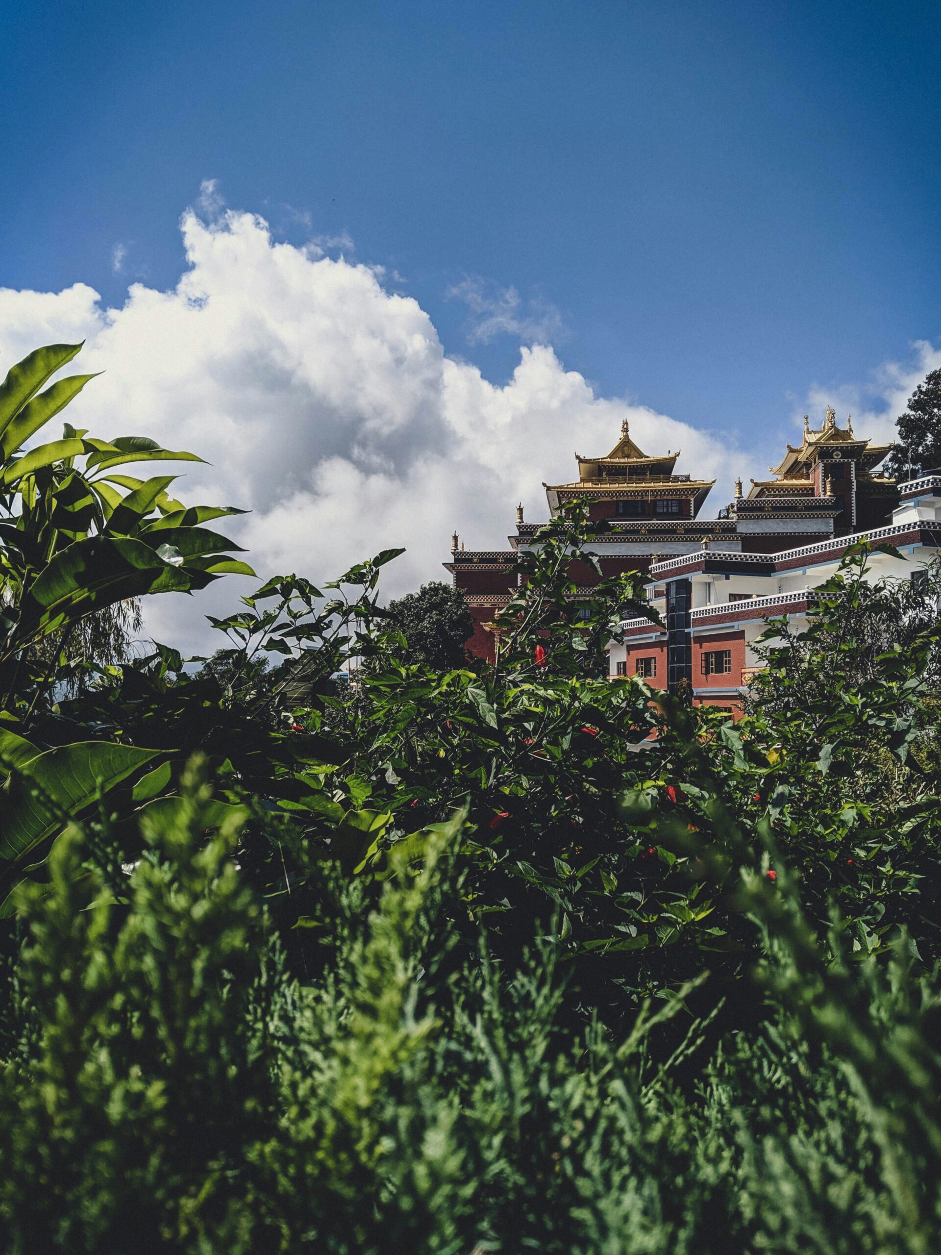 Buddhist-monastery