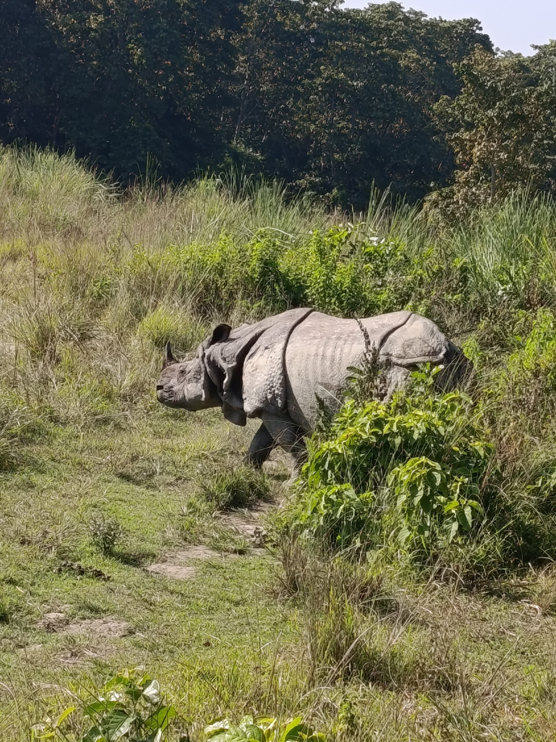 Chitwan National Park